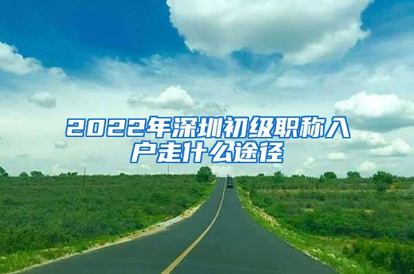 2022年深圳初级职称入户走什么途径