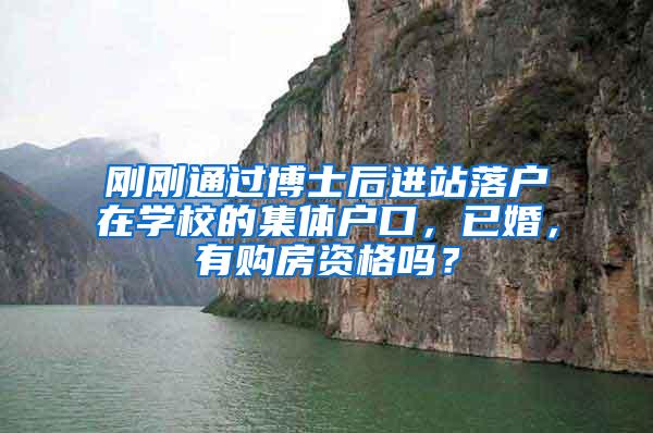 刚刚通过博士后进站落户在学校的集体户口，已婚，有购房资格吗？