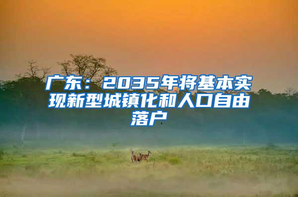 广东：2035年将基本实现新型城镇化和人口自由落户