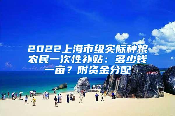 2022上海市级实际种粮农民一次性补贴：多少钱一亩？附资金分配