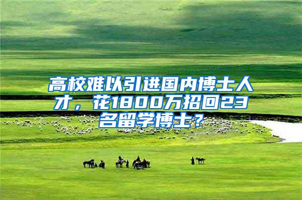 高校难以引进国内博士人才，花1800万招回23名留学博士？