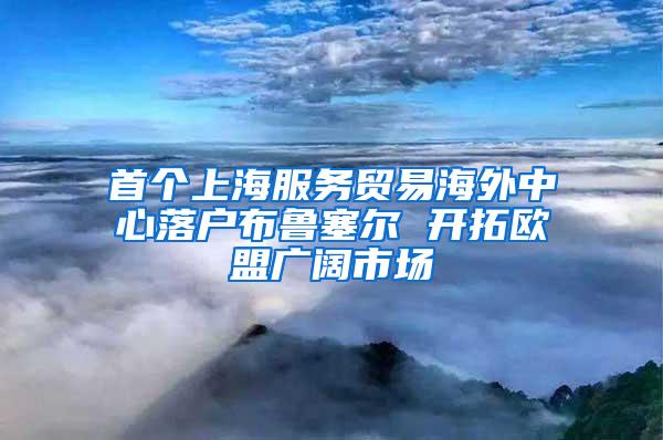 首个上海服务贸易海外中心落户布鲁塞尔 开拓欧盟广阔市场