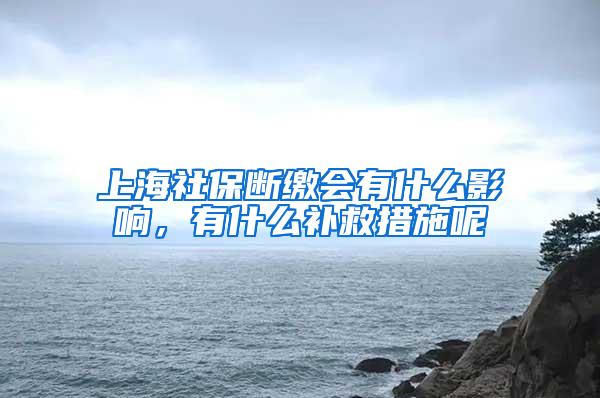 上海社保断缴会有什么影响，有什么补救措施呢