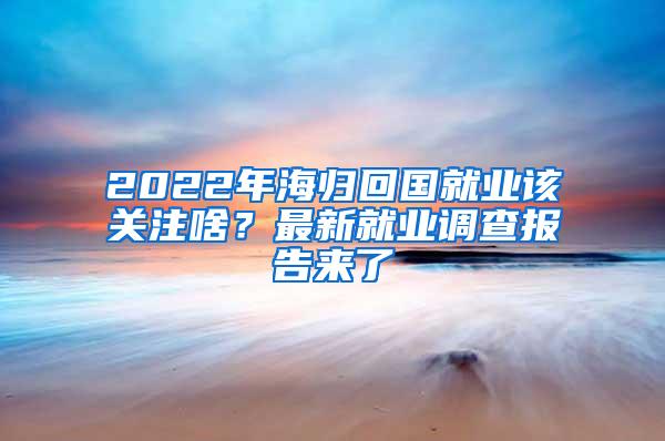 2022年海归回国就业该关注啥？最新就业调查报告来了