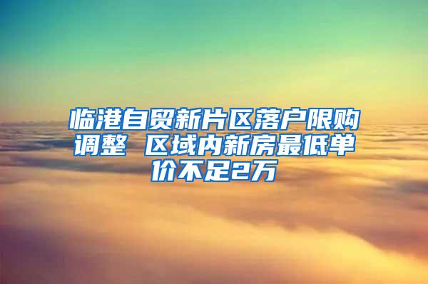 临港自贸新片区落户限购调整 区域内新房最低单价不足2万