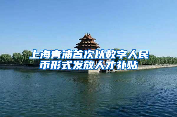 上海青浦首次以数字人民币形式发放人才补贴