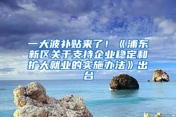 一大波补贴来了！《浦东新区关于支持企业稳定和扩大就业的实施办法》出台