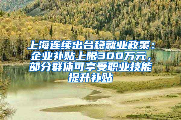 上海连续出台稳就业政策：企业补贴上限300万元，部分群体可享受职业技能提升补贴