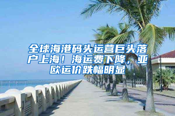 全球海港码头运营巨头落户上海！海运费下降，亚欧运价跌幅明显