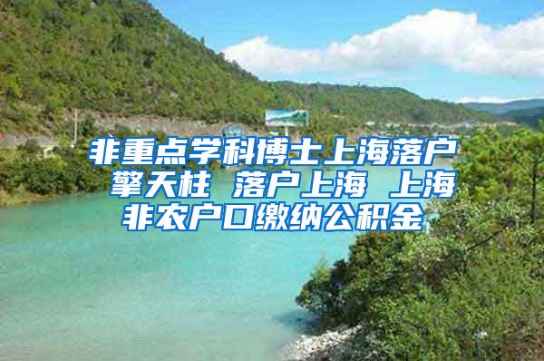 非重点学科博士上海落户 擎天柱 落户上海 上海非农户口缴纳公积金