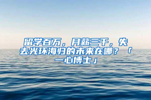 留学百万，月薪三千，失去光环海归的未来在哪？「一心博士」