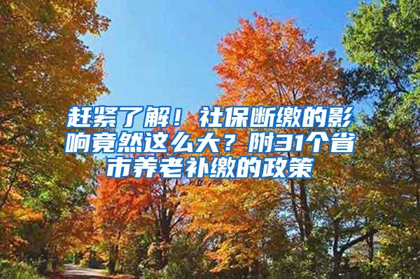 赶紧了解！社保断缴的影响竟然这么大？附31个省市养老补缴的政策