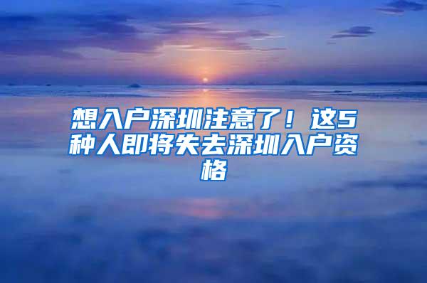 想入户深圳注意了！这5种人即将失去深圳入户资格