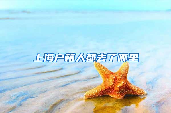 上海户籍人都去了哪里