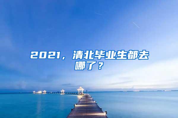 2021，清北毕业生都去哪了？