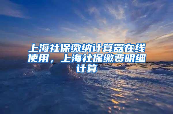 上海社保缴纳计算器在线使用，上海社保缴费明细计算