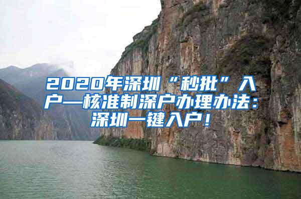 2020年深圳“秒批”入户—核准制深户办理办法：深圳一键入户！