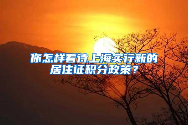 你怎样看待上海实行新的居住证积分政策？