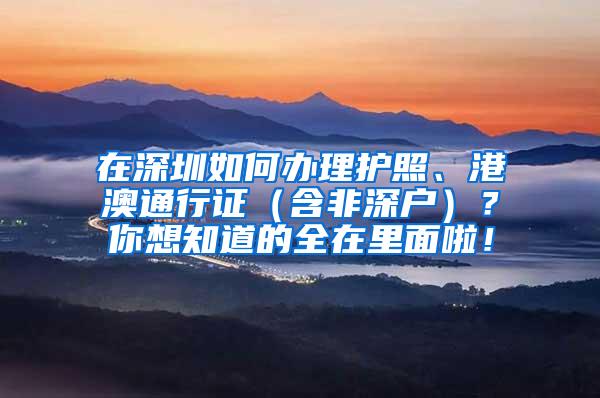 在深圳如何办理护照、港澳通行证（含非深户）？你想知道的全在里面啦！