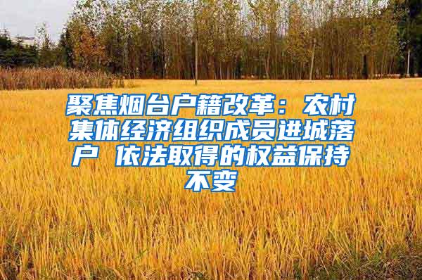 聚焦烟台户籍改革：农村集体经济组织成员进城落户 依法取得的权益保持不变