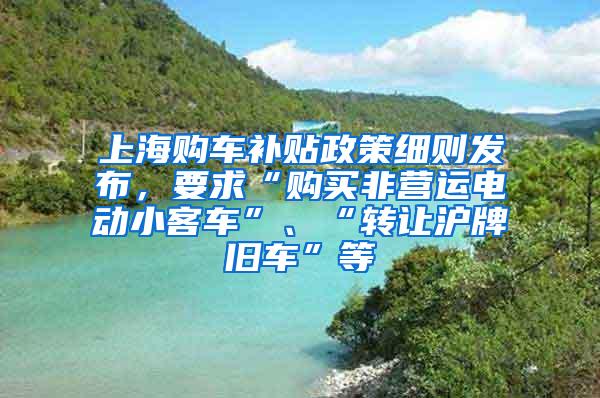 上海购车补贴政策细则发布，要求“购买非营运电动小客车”、“转让沪牌旧车”等