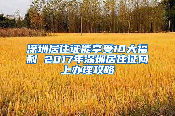 深圳居住证能享受10大福利 2017年深圳居住证网上办理攻略