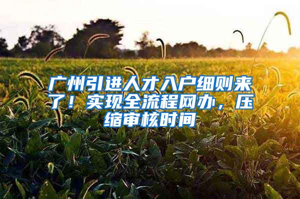 广州引进人才入户细则来了！实现全流程网办，压缩审核时间