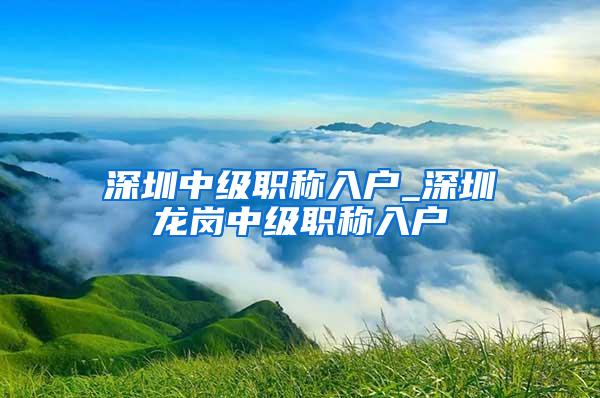 深圳中级职称入户_深圳龙岗中级职称入户