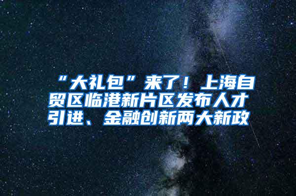 “大礼包”来了！上海自贸区临港新片区发布人才引进、金融创新两大新政