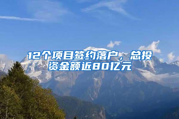 12个项目签约落户，总投资金额近80亿元