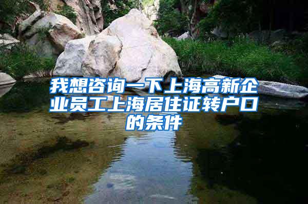 我想咨询一下上海高新企业员工上海居住证转户口的条件