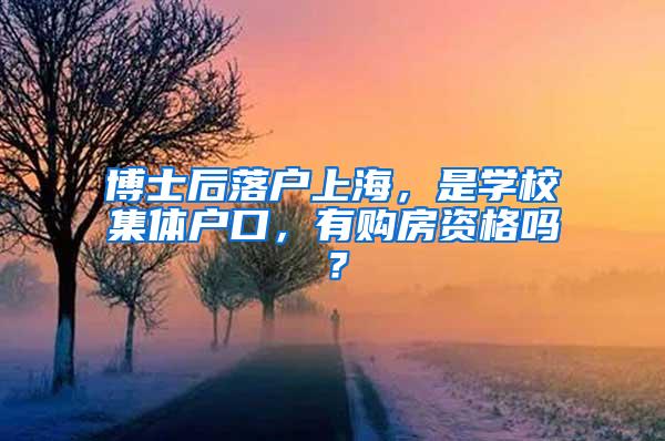 博士后落户上海，是学校集体户口，有购房资格吗？