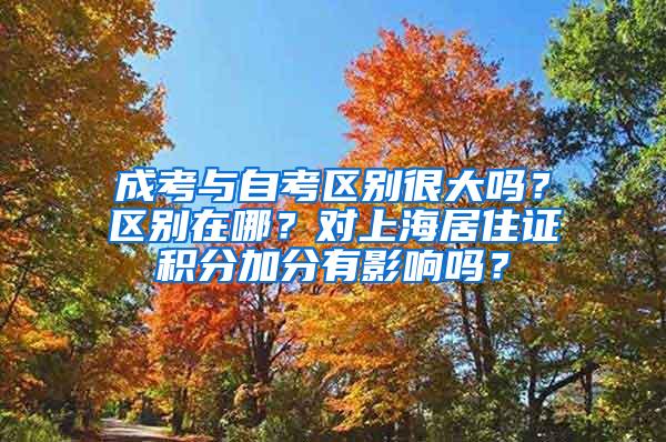 成考与自考区别很大吗？区别在哪？对上海居住证积分加分有影响吗？