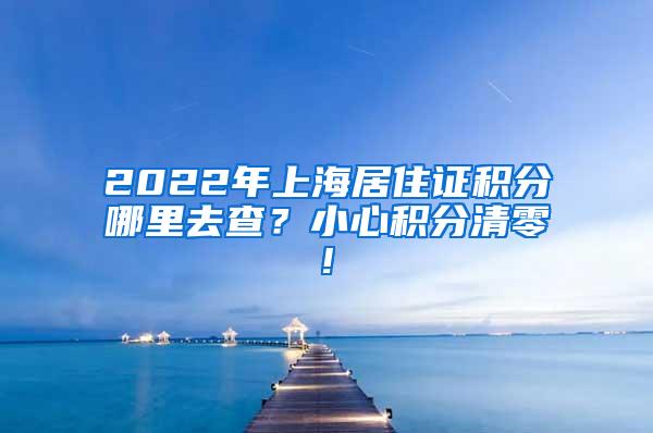 2022年上海居住证积分哪里去查？小心积分清零!