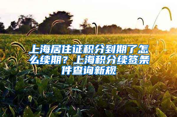 上海居住证积分到期了怎么续期？上海积分续签条件查询新规