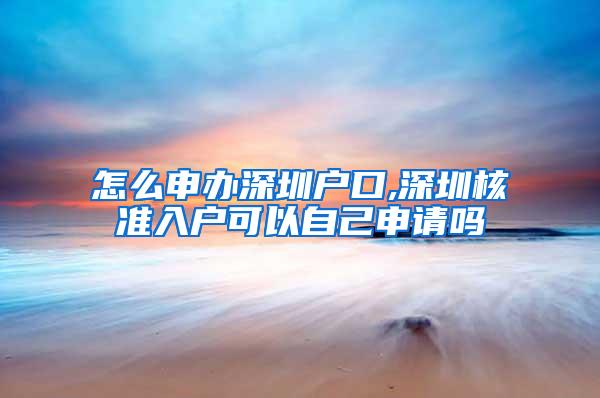 怎么申办深圳户口,深圳核准入户可以自己申请吗