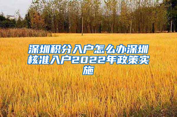 深圳积分入户怎么办深圳核准入户2022年政策实施