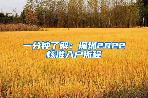 一分钟了解：深圳2022核准入户流程