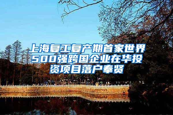 上海复工复产期首家世界500强跨国企业在华投资项目落户奉贤