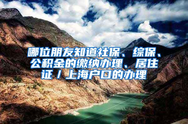 哪位朋友知道社保、综保、公积金的缴纳办理、居住证／上海户口的办理