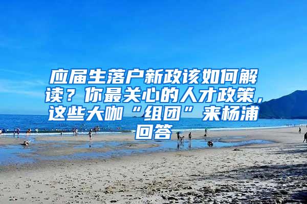 应届生落户新政该如何解读？你最关心的人才政策，这些大咖“组团”来杨浦回答