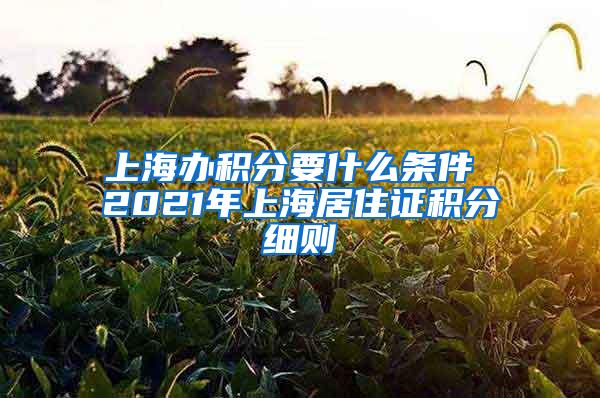 上海办积分要什么条件 2021年上海居住证积分细则