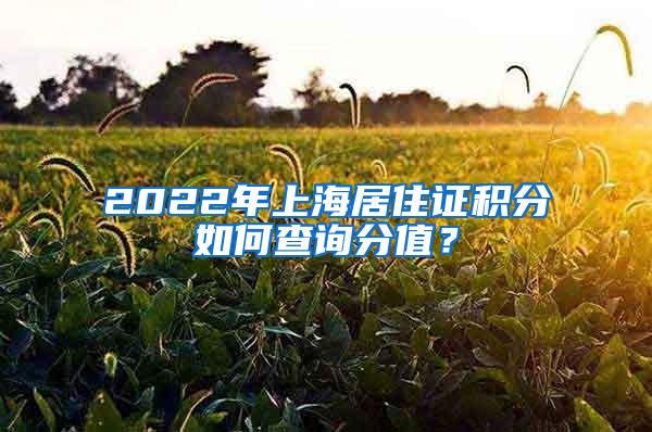 2022年上海居住证积分如何查询分值？