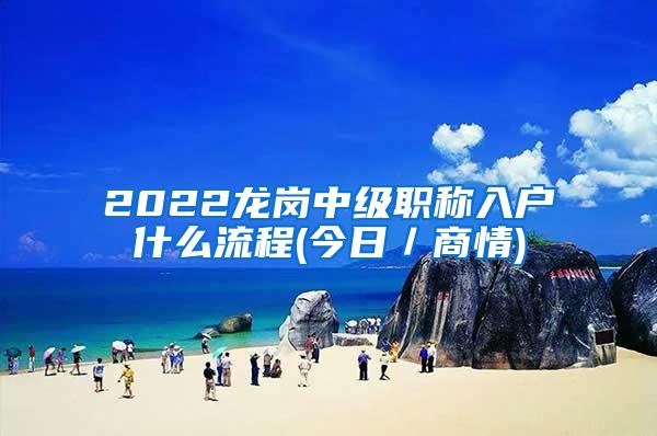 2022龙岗中级职称入户什么流程(今日／商情)