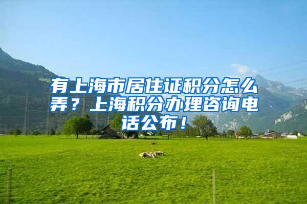 有上海市居住证积分怎么弄？上海积分办理咨询电话公布！