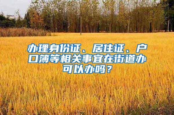 办理身份证、居住证、户口簿等相关事宜在街道办可以办吗？