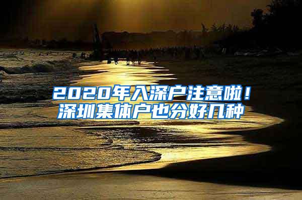 2020年入深户注意啦！深圳集体户也分好几种