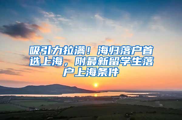 吸引力拉满！海归落户首选上海，附最新留学生落户上海条件