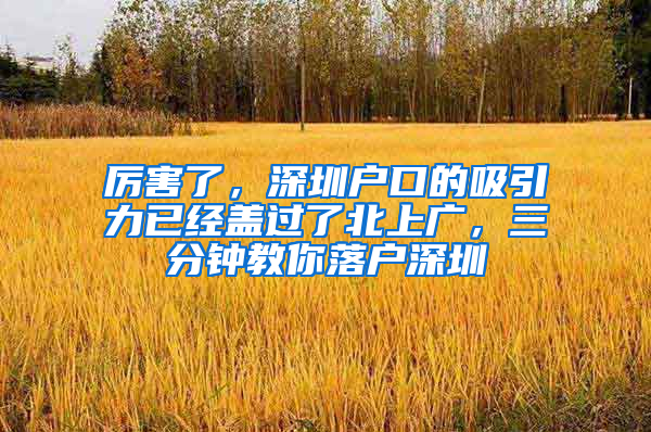 厉害了，深圳户口的吸引力已经盖过了北上广，三分钟教你落户深圳