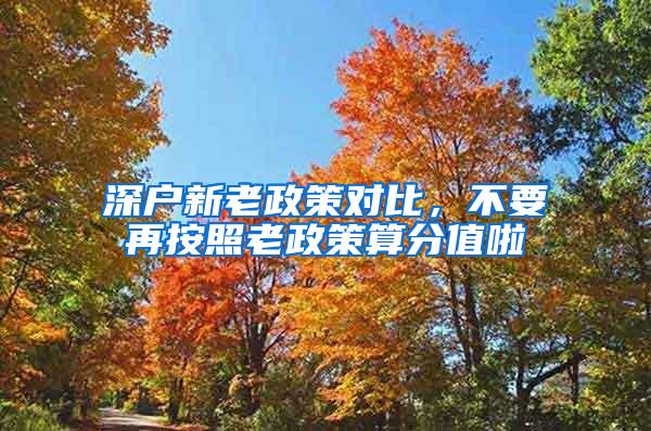 深户新老政策对比，不要再按照老政策算分值啦